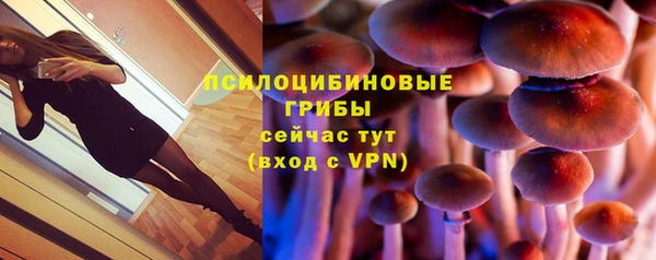 ALPHA-PVP Алексин