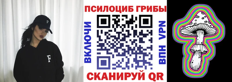 Псилоцибиновые грибы мицелий  Шатура 
