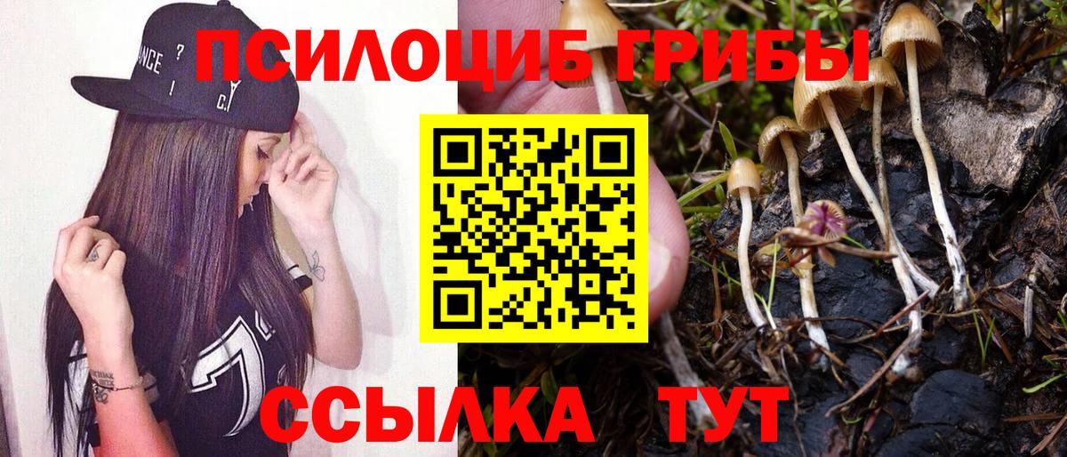 Галлюциногенные грибы Psilocybe  Вход с VPN  Шатура 