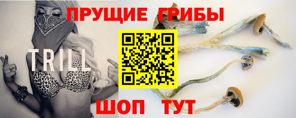 Псилоцибиновые грибы MAGIC MUSHROOMS Шатура