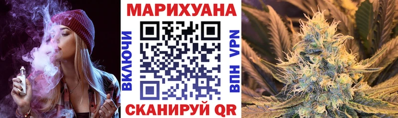 KRAKEN   Шатура  Бошки марихуана сатива 